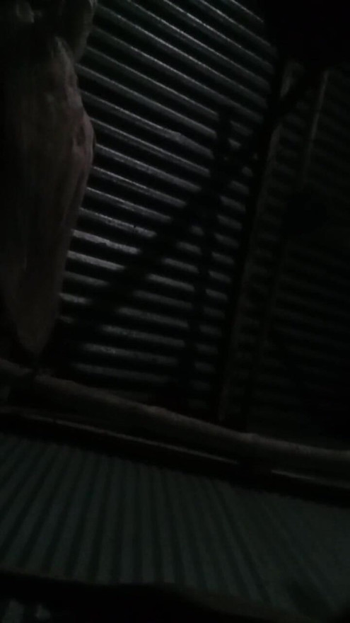 Owsam su toda fegar ella se encuentra y lo opne todo | Clip 3
