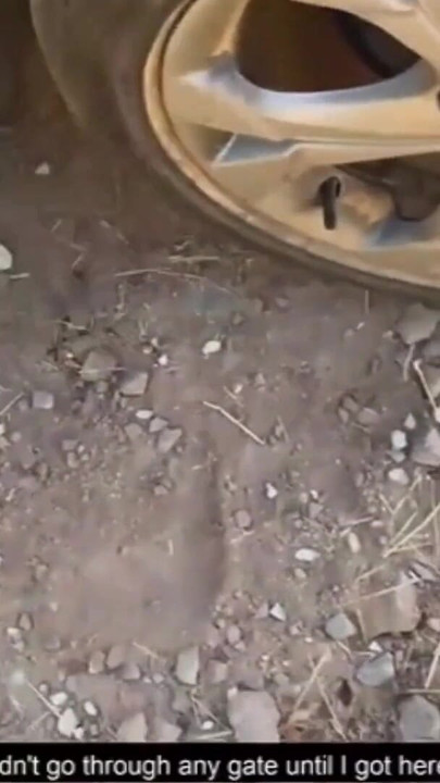 タトゥーを入れた現行犯で捕まった若いアマチュア | クリップ 3