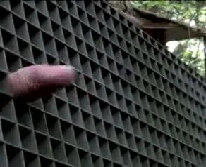 Heavy Metal Fuck