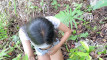 Pratinjau video