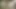 Young boy handjob and cum multiple times