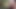 One of my first reviews, I chose to review this dildo in the middle of a park