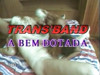 Pratinjau video