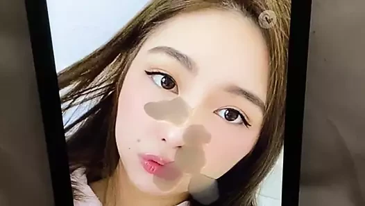 Xchocobars boşalma anısına