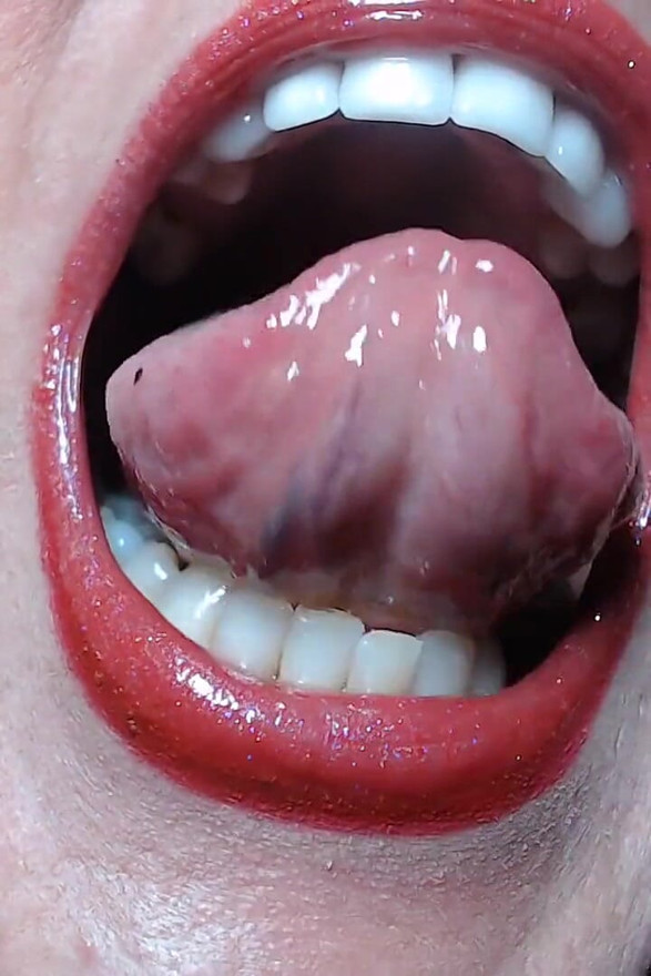 Tour The Terrors in my Mouth