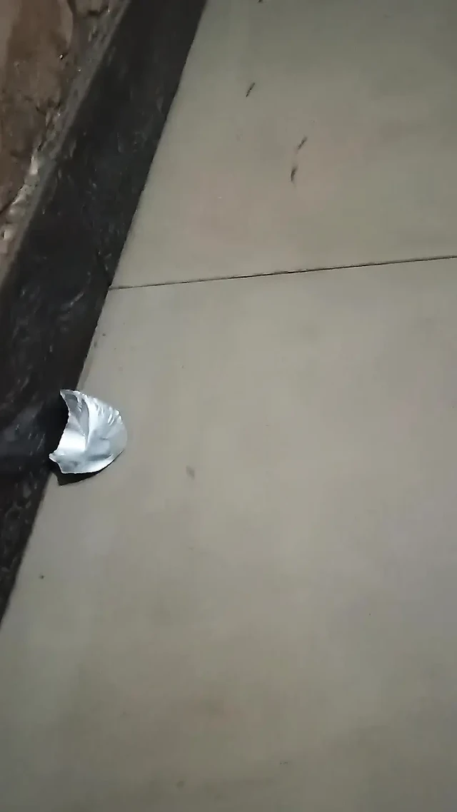 Put the bottle in the dirt and took out the water of the load.
