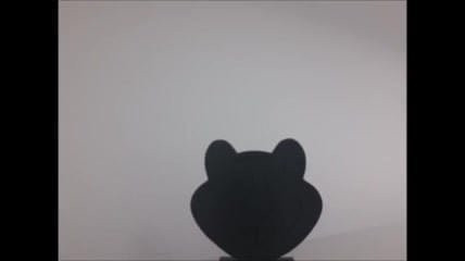 Test.mp4