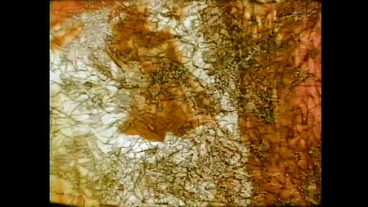 "Menşeimiz xxx... - cilt 14