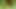 bir