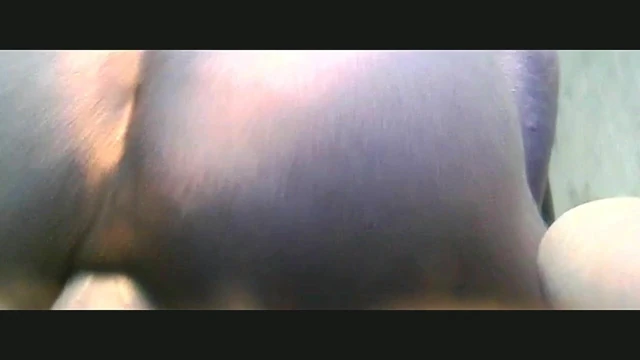 Amo minha bunda