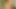 ぽっちゃり系女の子がウェブカメラで裸