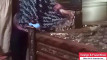 Pregled videozapisa