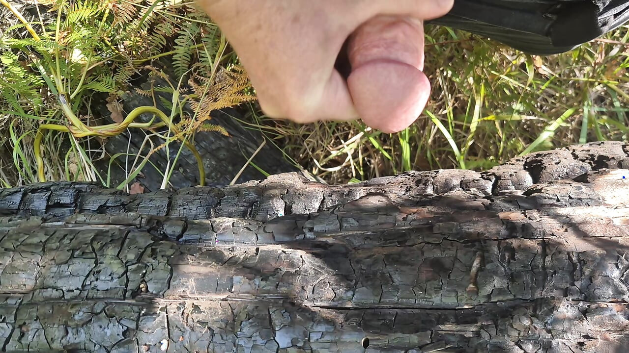 so much delicious sperm - jerking off on burnt tree