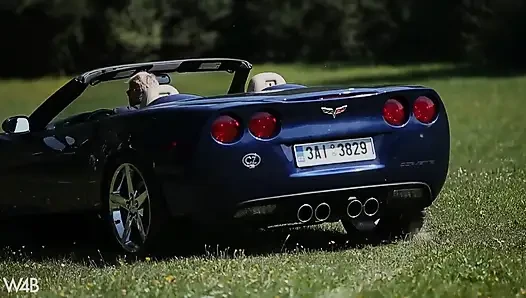 Corvette