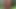 I need a real man with a really big cock to please me