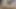 Ateşli tamil üniversiteli kız viral seks videosu