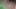 Foreskin movement (slowmotion) 836