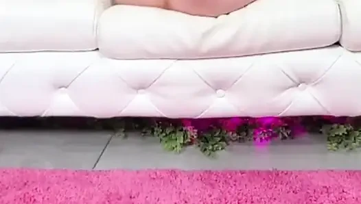Memek manis Dolly Paige dijilat sambil nyepong dildo!