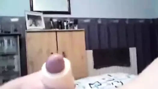 Bolca döl