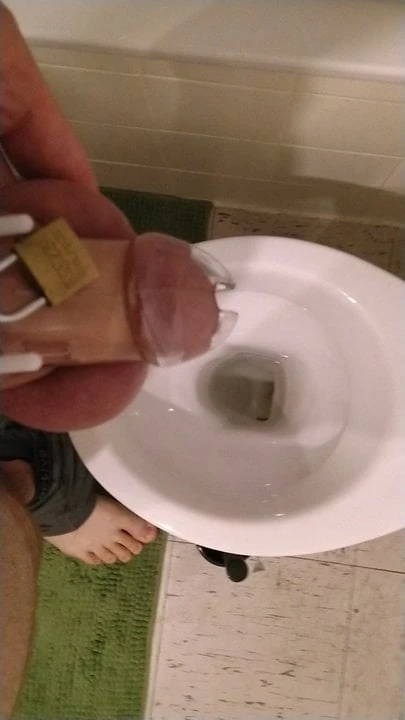 Pisilés a ketrecbe