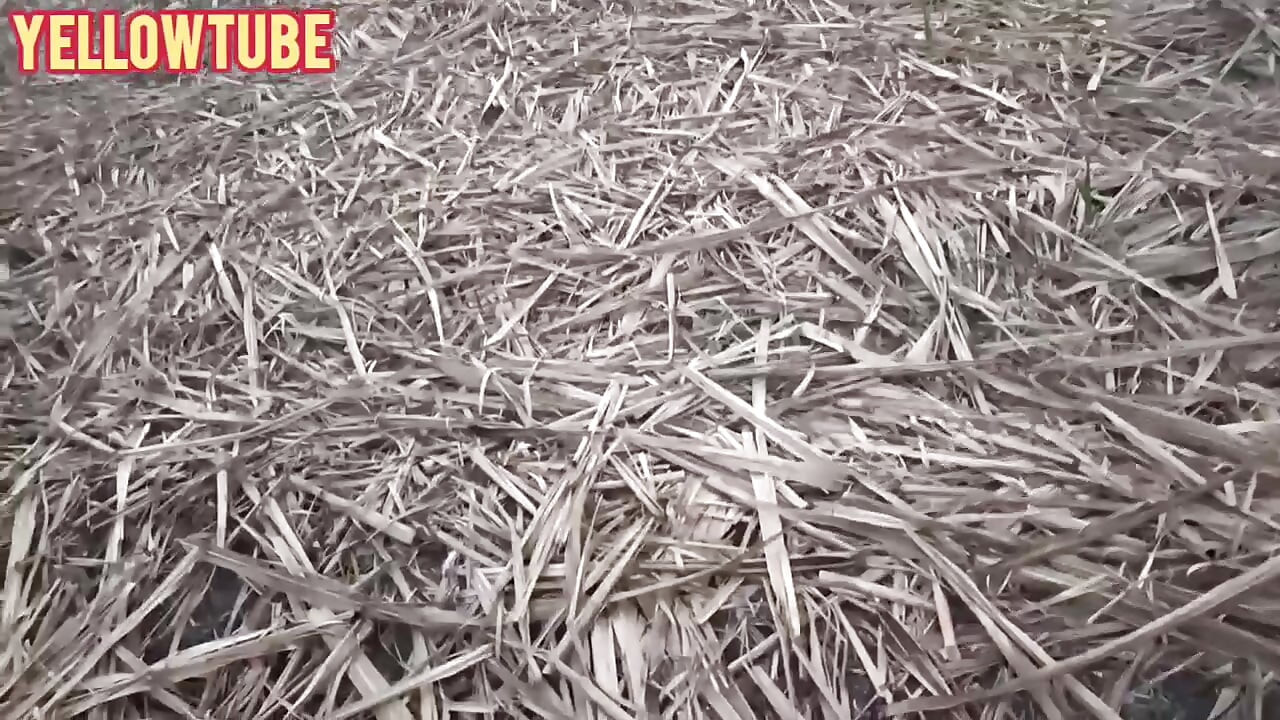 Indian outdoor beautiful outdoor fun and musti kama sutra