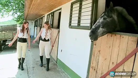 Vollbusige reitakademie