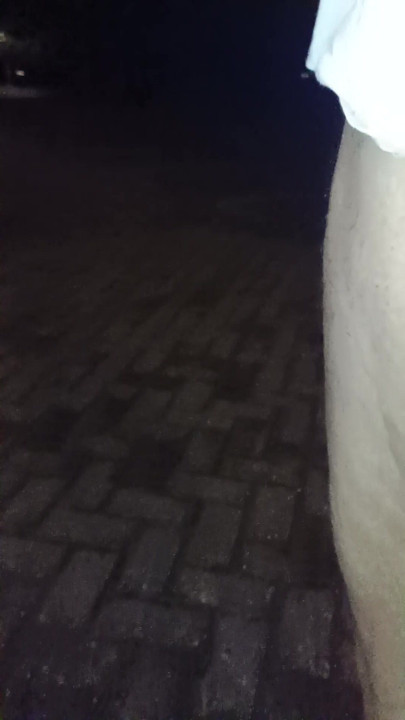 wiggling my dick while walking outside, hoping for some attention.
