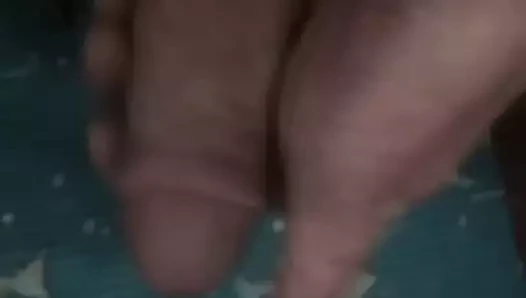 Moe xyilo