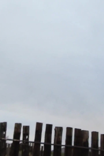 Desert Cow Pen Cum 3