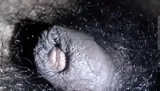 My dick is hungry for pussy and asshole