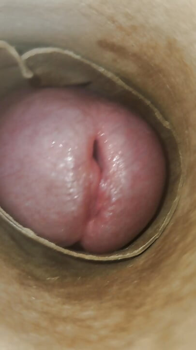 POV: Cummin' Inside of You