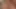 Deborah Tavares Blows a Trans Photographer Then Fucks Her Ass