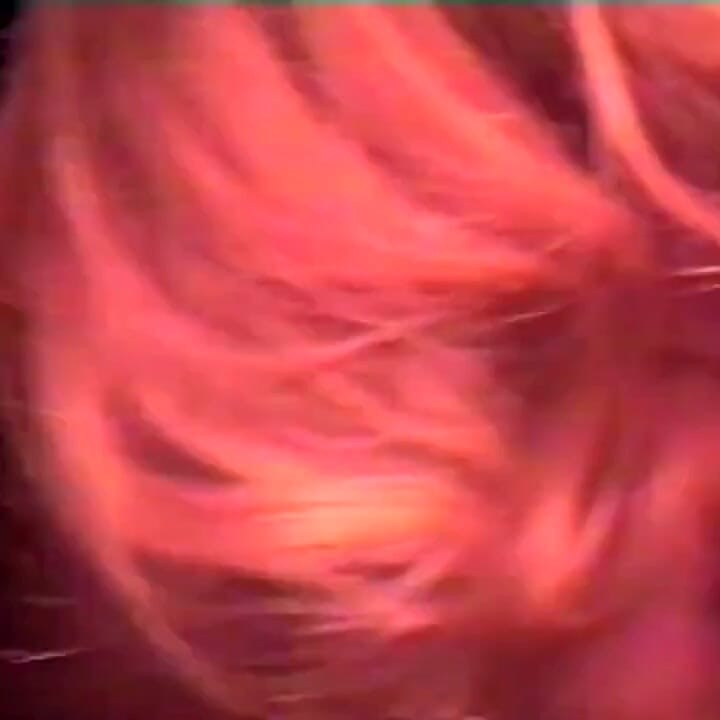 Lesbians pussy licking pussy fingering in 69 position