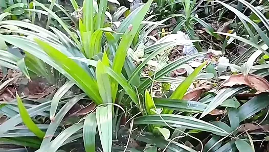 Sexy bhabhi devar ne flating karke pata liya uske baad puri raat kiya sex