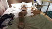 Pregled videozapisa