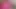 Cd cums in pink