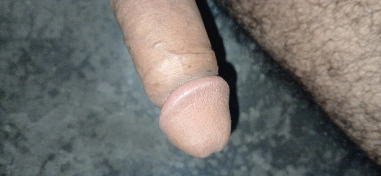 印度长鸡巴