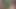 Afrika çalısında balkonda bir yarağı gırtlağına kadar alıyor!