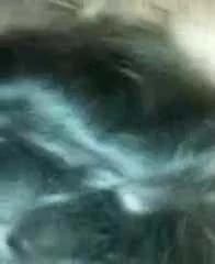 His penis is awesome doggystyle fuck