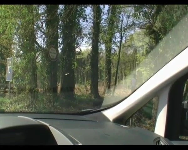 Quickie in the Forest