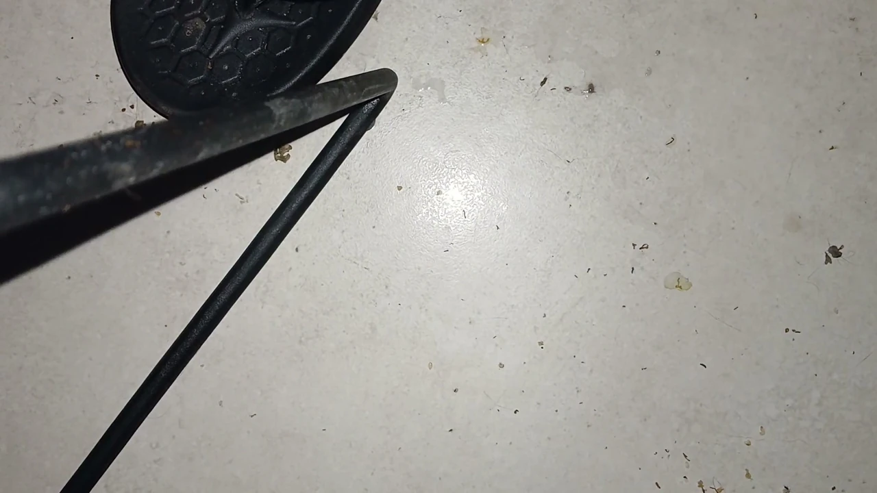 Bossisjerking 26,Alefhava