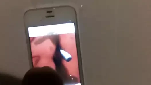 Yeni bir arkadaştan yeni haraç x