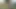 Backyard Cumshot - Jeffrey Jaxxon Jerking by the Firepit, Neighbors Outside