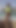 "उष्णकटिबंधीय में हरे रंग की टॉप में सुंदर Monika Fox" से पल देखना चाहिए