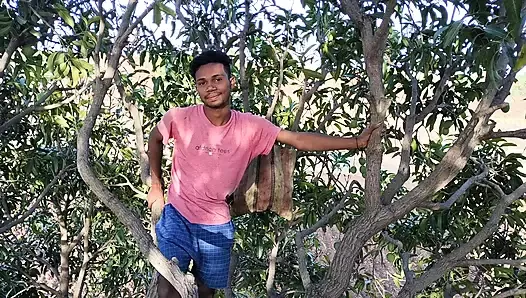 Agriculture Forest Mango tree Gay Romantic video in Hindi language