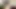 Bj amatör 21yo sürtük emme çük içinde pov süre konuşurken kirli