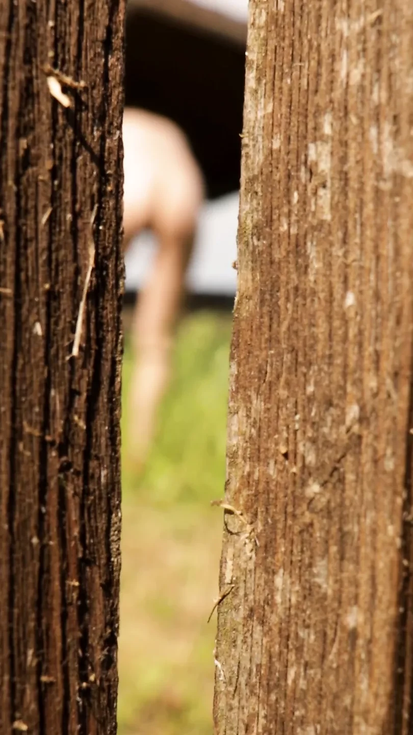 Summer is the voyeur season