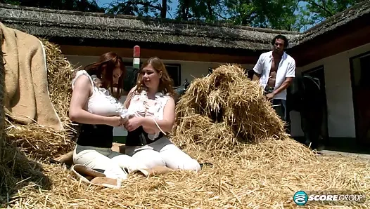 Büyük memeli binicilik akademisi