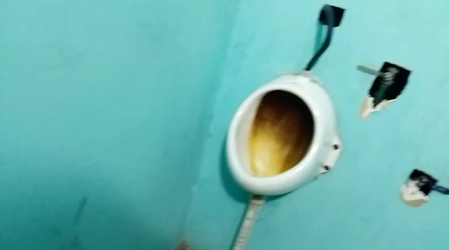 Pissing closeup with foreskin pulled back cockhead pee Hole public peeing