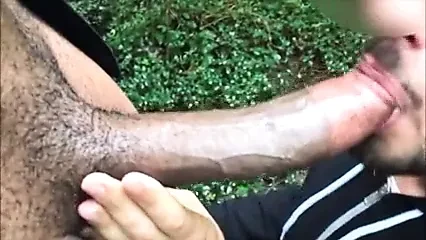BBC sucked in the woods